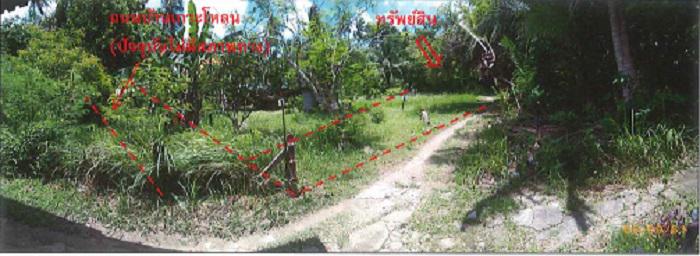 ที่ดินเปล่าหลุดจำนอง ธ.ธนาคารกรุงไทย ภูเก็ต เมืองภูเก็ต ราไวย์