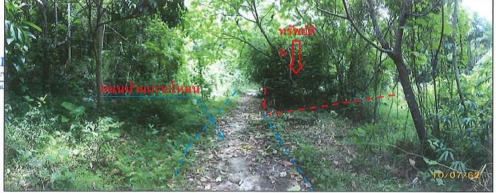 ที่ดินเปล่าหลุดจำนอง ธ.ธนาคารกรุงไทย ภูเก็ต เมืองภูเก็ต ราไวย์