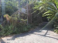 ที่ดินหลุดจำนอง ธ.ธนาคารอาคารสงเคราะห์ ภูเก็ต กะทู้ ป่าตอง